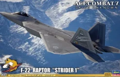 1/48 Ace Combat 7 Skies Unknown F-22 Raptor Strider 1