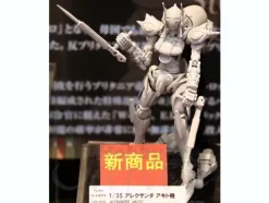 1/35 Alexander Akito Custom