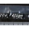 Armor Collar II SSS (20pcs)
