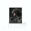 Artworks Monsters GIGA Godzilla (vs King Kong)