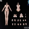 1/12 A.T.K.GIRL Four Holy Beasts Dedicated Body Pack (Reissue)