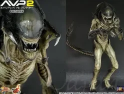 1/6 AVP:R Predalien