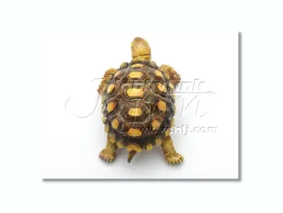 Baby Gamera