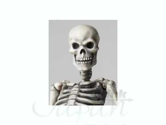 B-Grade Sci-Fi Revoltech Skeletal Warrior