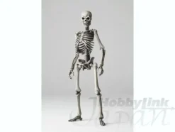 B-Grade Sci-Fi Revoltech Skeletal Warrior
