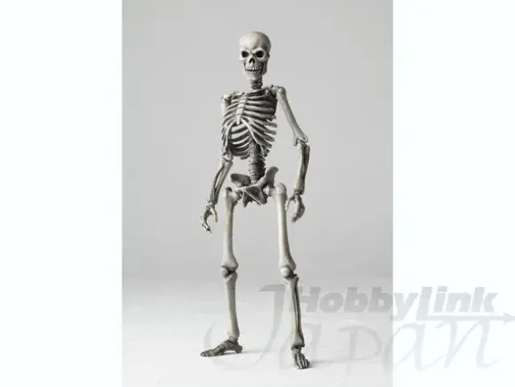 B-Grade Sci-Fi Revoltech Skeletal Warrior