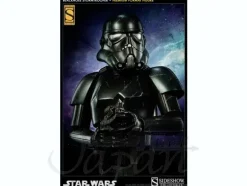 Blackhole Storm Trooper Premium Format Figure