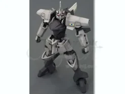1/60 Broken Blade Delphine