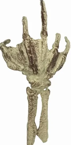 Creature from the Black Lagoon / Fossilized Creature Hand Scale Prop Replica