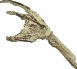 Creature from the Black Lagoon / Fossilized Creature Hand Scale Prop Replica