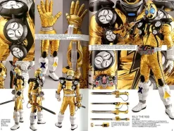 Detail of Heroes Kamen Rider Fourze Photographs
