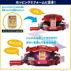 DX Rider Gochizo Set: New Species Ver.02