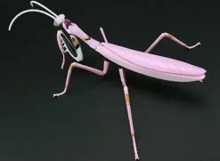 Evangelion Edition Giant Mantis EVA Unit-08 Ver.