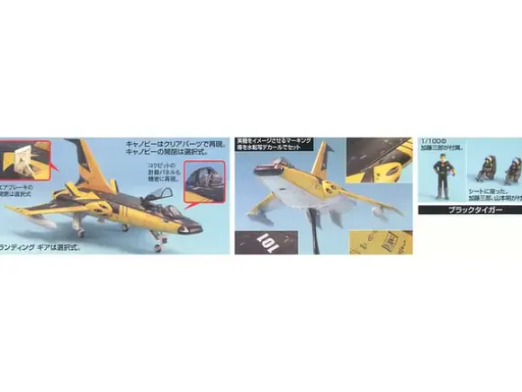 1/100 EX-33 Black Tiger