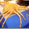 1/1 Face Hugger Painted Kit