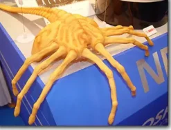 1/1 Face Hugger Painted Kit