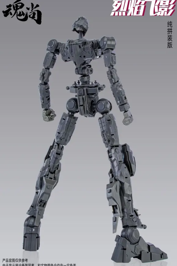 Fire Shadow Plastic Model Kit Normal Edition