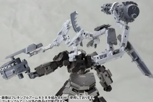 Flexible Arm A (Reissue)