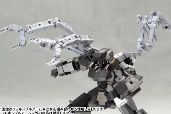Flexible Arm B (Reissue)