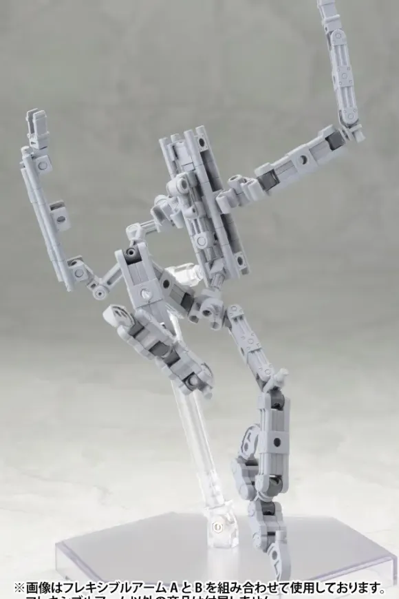 Flexible Arm B (Reissue)