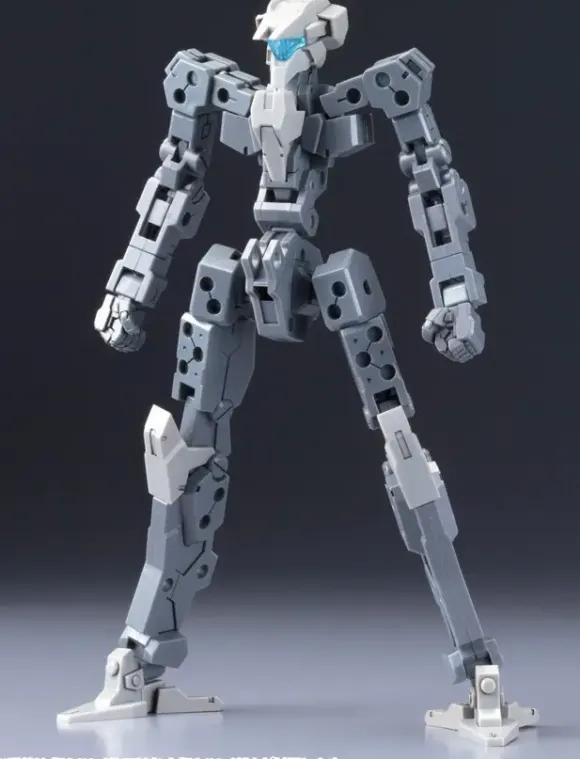 1/100 Frame Architect Type-001 Gray: RE2