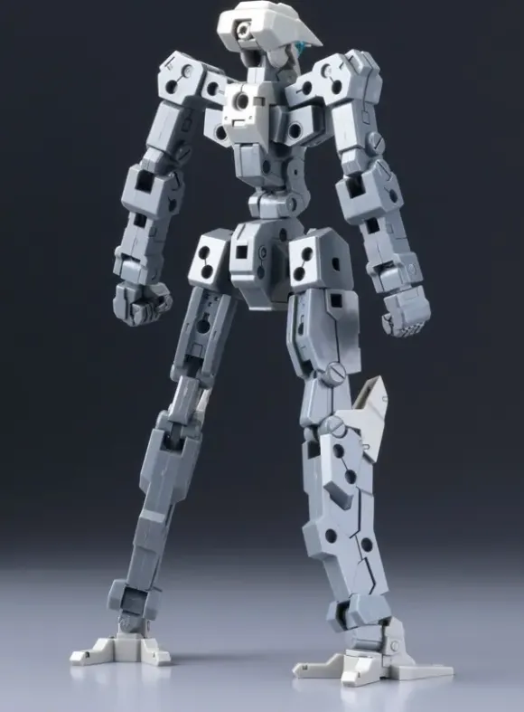 1/100 Frame Architect Type-001 Gray: RE2