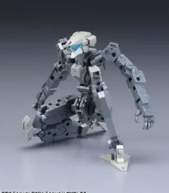 1/100 Frame Architect Type-001 Gray: RE2