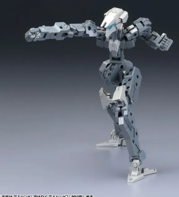 1/100 Frame Architect Type-001 Gray: RE2