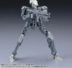 1/100 Frame Architect Type-001 Gray: RE2