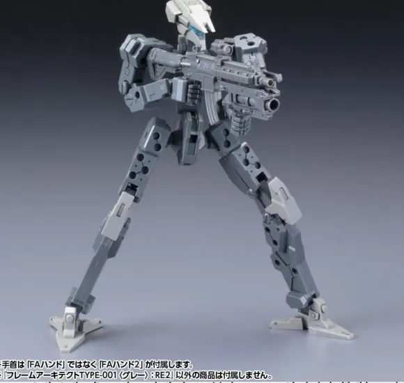 1/100 Frame Architect Type-001 Gray: RE2