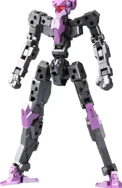 1/100 Frame Architect Type-001 Gunmetal: RE2