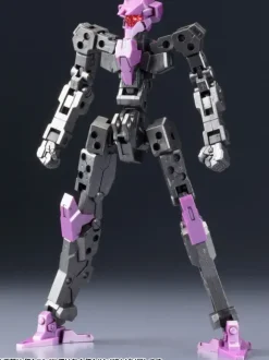 1/100 Frame Architect Type-001 Gunmetal: RE2