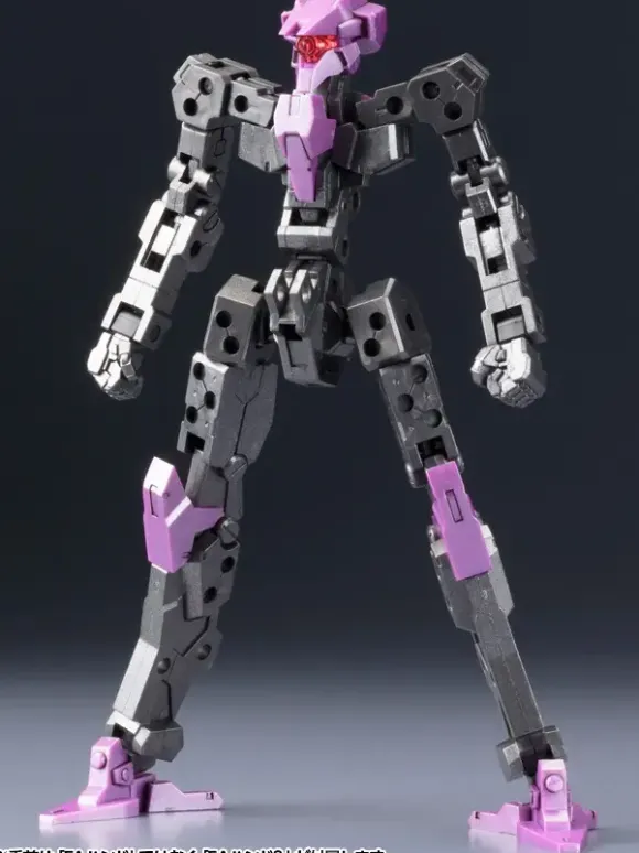 1/100 Frame Architect Type-001 Gunmetal: RE2