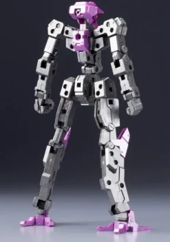 1/100 Frame Architect Type-001 Gunmetal: RE2
