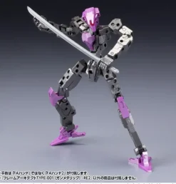 1/100 Frame Architect Type-001 Gunmetal: RE2