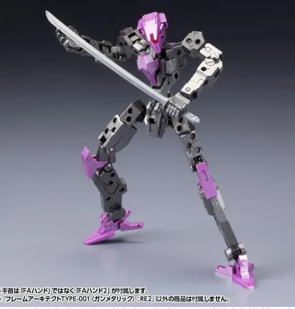 1/100 Frame Architect Type-001 Gunmetal: RE2