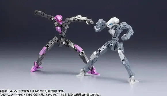 1/100 Frame Architect Type-001 Gunmetal: RE2