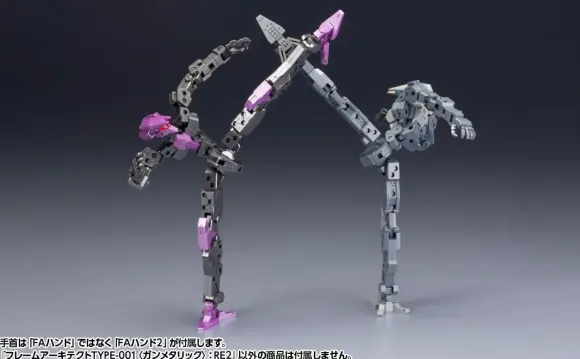 1/100 Frame Architect Type-001 Gunmetal: RE2