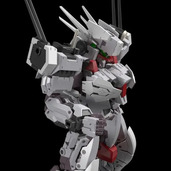 1/100 Frame Arms: Izumo