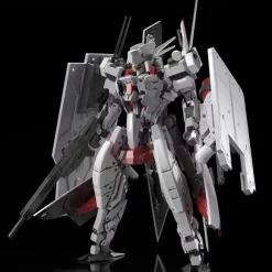 1/100 Frame Arms: Izumo