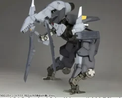 1/100 Frame Arms NSG-25 Gamma Strauss: RE2