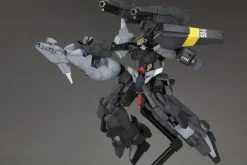 1/100 Frame Arms: NSG-25 Gamma Strauss:RE