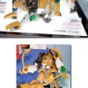 GC-16 Liger Jack