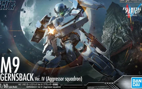 1/60 HG Gernsback Ver.IV (Aggressor Squadron)