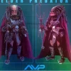1/6 Hot Toys AVP Elder Predator