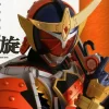 Kamen Rider Gaim Photo Collection Gaisen