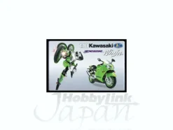 1/10 Kawasaki Ninja ZX-12R Road Bot