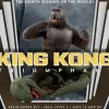 1/72 King Kong