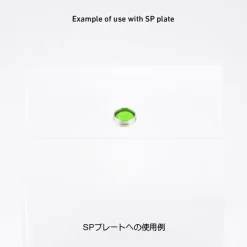 Lumidome 2 fluorescent green 5.0mm (10 pcs)
