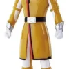 Lupinranger VS Patoranger: Sentai Hero Series Patren X